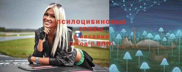 твердый Абинск