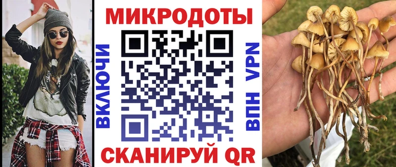 Галлюциногенные грибы Cubensis Сысерть